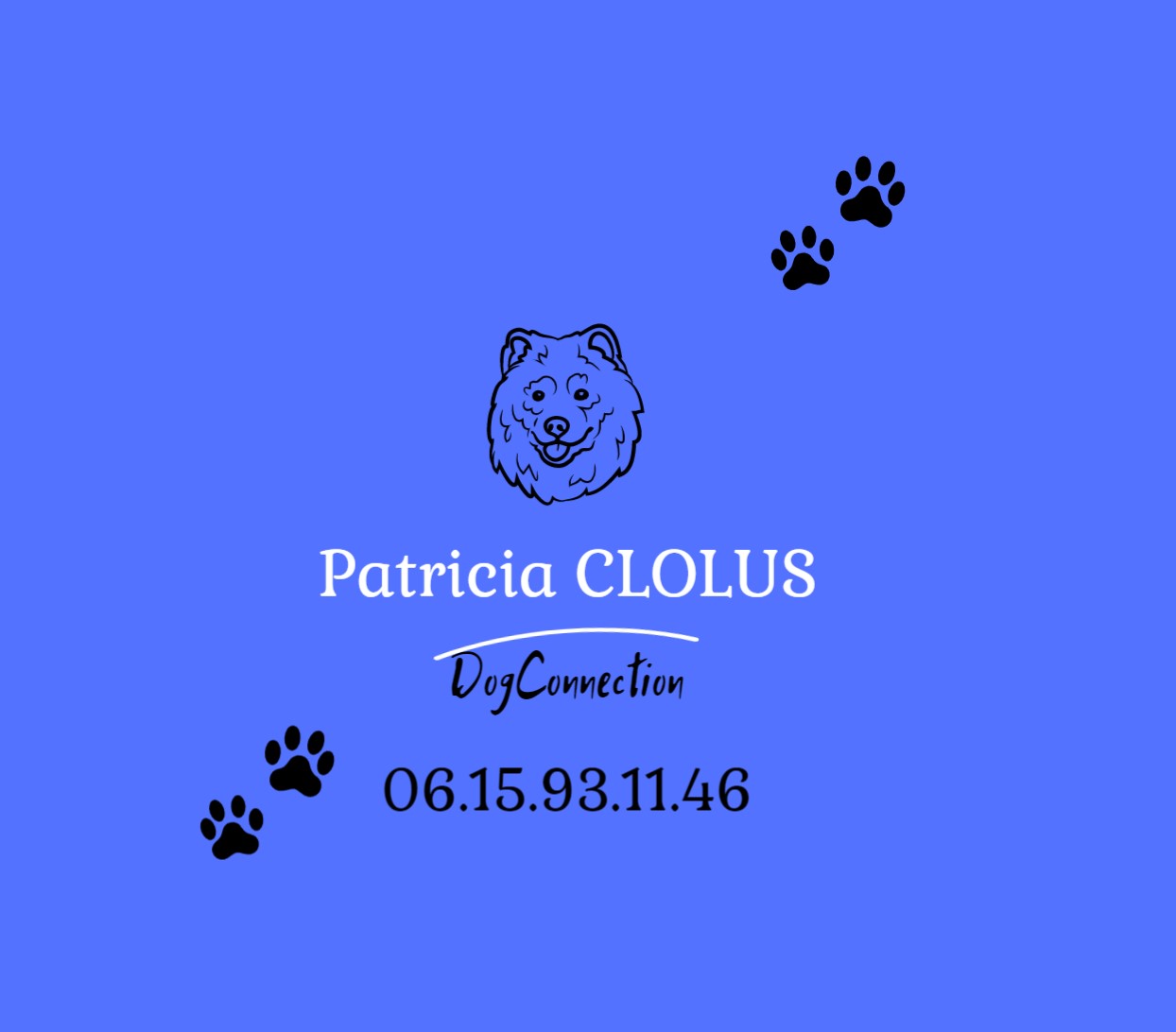 éducateur canin troyes Educateur comportementaliste dresseur aube yonne marne auxerre - soins énergétiques animaux